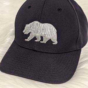 SOLD Patagonia Bear Heavan Roger That Hat